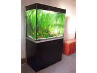 Fluval Profile 850 stunning aquarium with Matt black base unit and many accessories