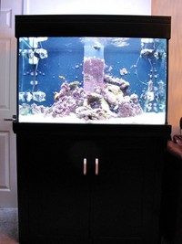 Aqua one AquaReef 300 Litre marine aquarium full setup £800