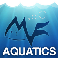 Large Red Cap/Calico/Panda/Red Orandas - MF Aquatics