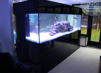 Aquarium Manufacturers in UK . Bespoke Marine & Tropical Fish Tanks. Metal Framed Cabinets.