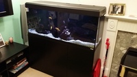 Fluval Roma 240L 4 foot aquarium