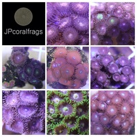 Ultra Rare Zoas & Palys