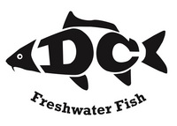 POND FISH KOI CARP AND OTHER NATIVE FISH AVAILABLE FOR DELIVERY