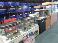 Fish Finatics Aquatic Centre, W Lancs - Current Fish Stock available