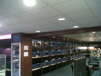 Fish Finatics Aquatic Centre, W Lancs - Current Fish Stock available