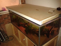 780 litre large fishtank 66 x 30 x 24 inches £200ono