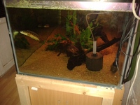 780 litre large fishtank 66 x 30 x 24 inches £200ono