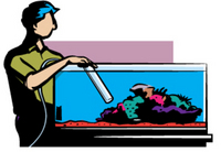 Aquarium maintenance services for fresh or salt water