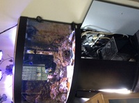 marine complete set up fluval 190 corner aquarium