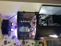 marine complete set up fluval 190 corner aquarium