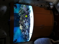 JUWEL TRIGON 350 BEECH CORNER AQUARIUM FISH TANK MARINE FULL SET UP