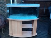 Fish Tank Aquarium - Rena 230 litre bow front Aquarium with overhead lights
