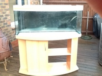 Fish Tank Aquarium - Rena 230 litre bow front Aquarium with overhead lights