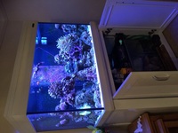 Aquaone reef 300 white complete set up £1000s worth. Excellent condition