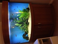 Aquaone Windsor 88 corner tank (like Juwel Trigon 350) marine / tropical