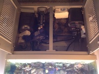 4x2x2 coral reef aquarium, full set up , fish , inverts, live rock