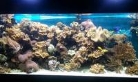 full marine set up