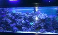 full marine set up