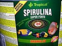 BEIGHTON AQUATICS SUPPLIER OF QUALITY FISH FOOD AT DISCOUNT PRICES