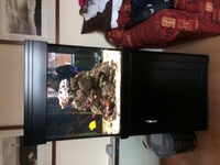 AQUA ONE - 275L CUBE BLACK COMPLETE SYSTEM