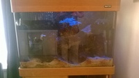 Full Marine set-up