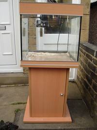 Aquamedic Chromis Tank For Sale