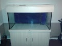 4ft x 2ft x 2ft Aquarium with Sump