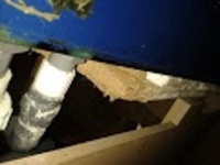 4ft x 2ft x 2ft Aquarium with Sump