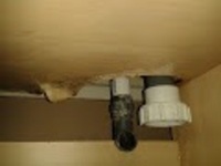4ft x 2ft x 2ft Aquarium with Sump
