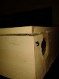 4ft x 2ft x 2ft Aquarium with Sump