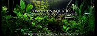 EDMONTON AQUATICS STOCK LIST - FEBRUARY - NORTH LONDON AQUATIC SPECIALISTS