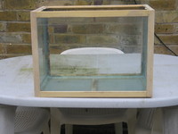 Tropical Fish Tank £10.00