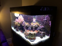 Red Sea Max 250 plus full marine set up - £450 ono