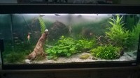 Full 4 ft set up for sale