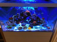 kessil a350w not radion, ai £220