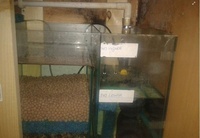 550 ltr tank stand sump and everything you need