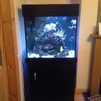 marine Aquarium and Accessories