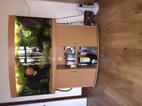 Juwel vision 260 with stand and eheim external