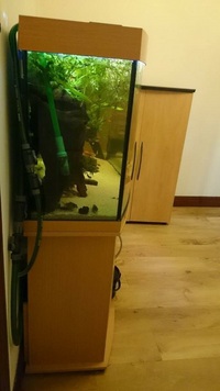 Juwel vision 260 with stand and eheim external