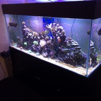 Complete large salt water (marine) set up 6x3x2 top spec equipment