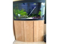 Fluval Vicenza 180L full setup - Bristol