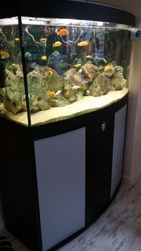 Fluval Vicenza 180 bow front