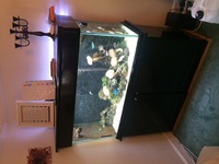 livestock in marine aquarium breakdown