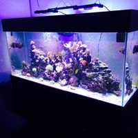 Marine livestock in Complete 6x3x2 marine set it cost over 8k