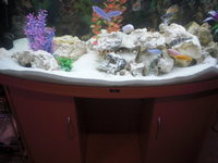 Approx 40 malawi job lot for salfe