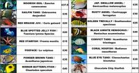 New Delivery of over 250 Marine Fish - Bradford, West Yorkshire