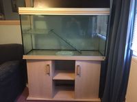 4 Foot Aquarium Tank