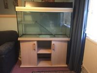 4 Foot Aquarium Tank
