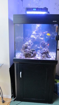 Complete Marine setup
