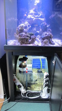 Complete Marine setup